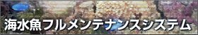 CteiXVXe